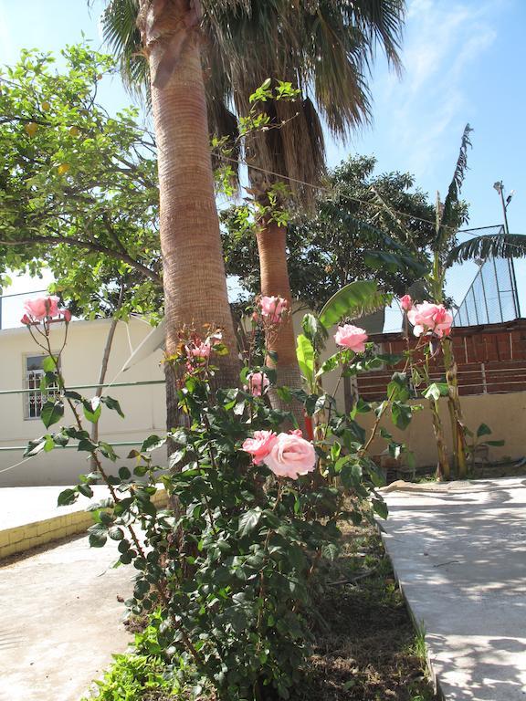 Dream Park Bungalow Titreyengol Εξωτερικό φωτογραφία