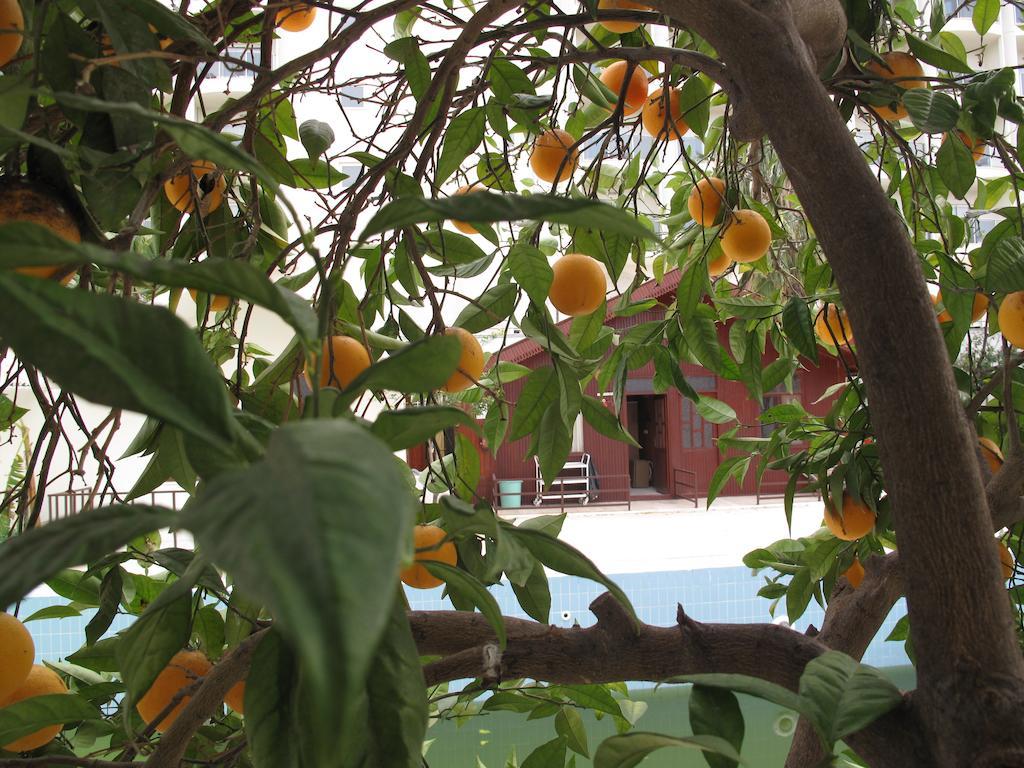 Dream Park Bungalow Titreyengol Εξωτερικό φωτογραφία