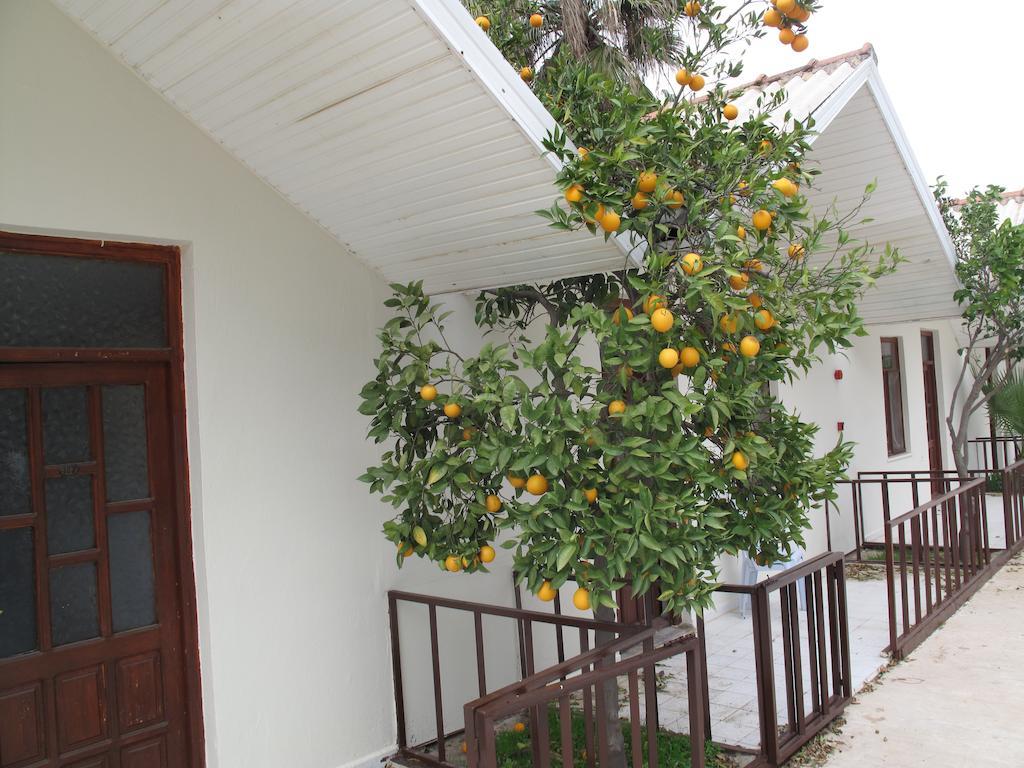 Dream Park Bungalow Titreyengol Εξωτερικό φωτογραφία
