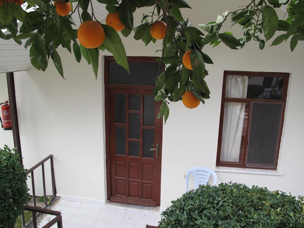 Dream Park Bungalow Titreyengol Εξωτερικό φωτογραφία