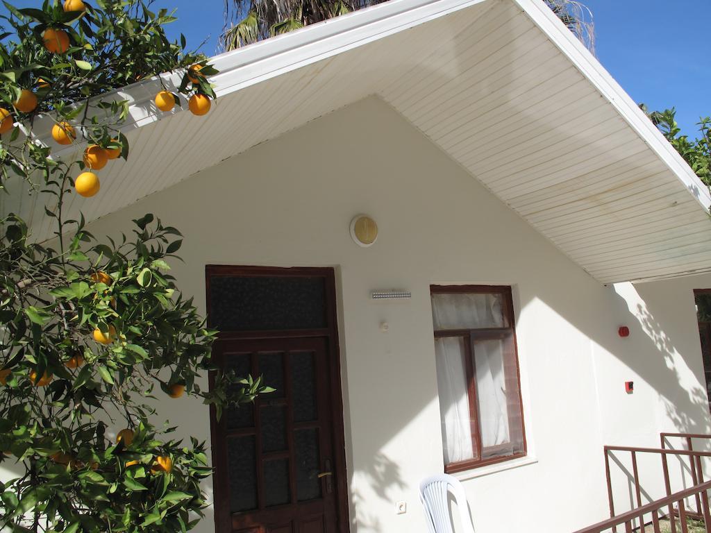 Dream Park Bungalow Titreyengol Εξωτερικό φωτογραφία