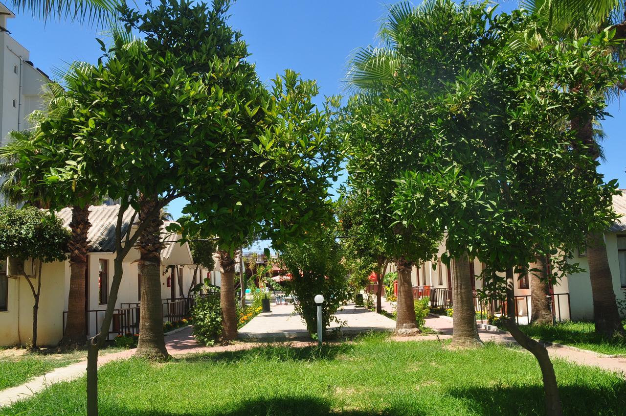 Dream Park Bungalow Titreyengol Εξωτερικό φωτογραφία