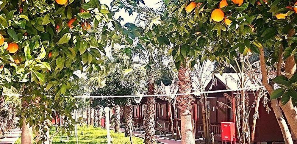 Dream Park Bungalow Titreyengol Εξωτερικό φωτογραφία