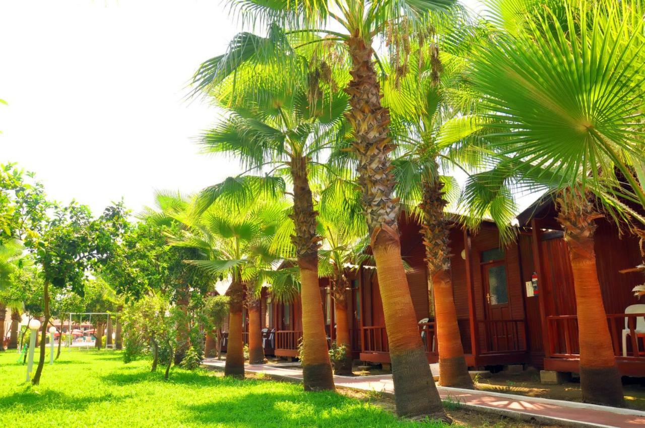 Dream Park Bungalow Titreyengol Εξωτερικό φωτογραφία