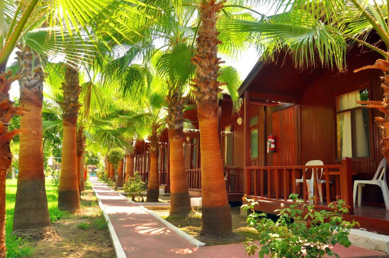 Dream Park Bungalow Titreyengol Εξωτερικό φωτογραφία