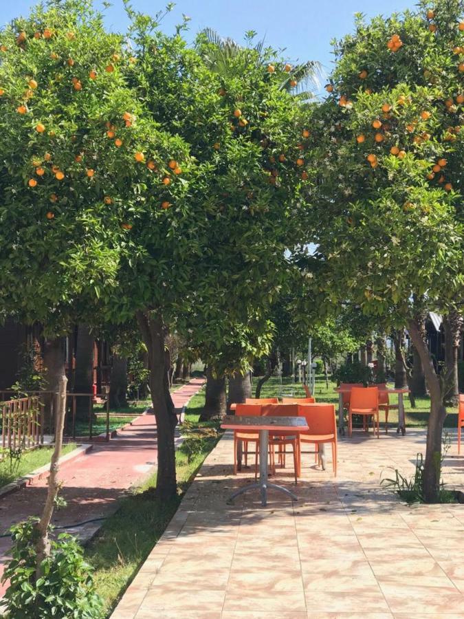 Dream Park Bungalow Titreyengol Εξωτερικό φωτογραφία