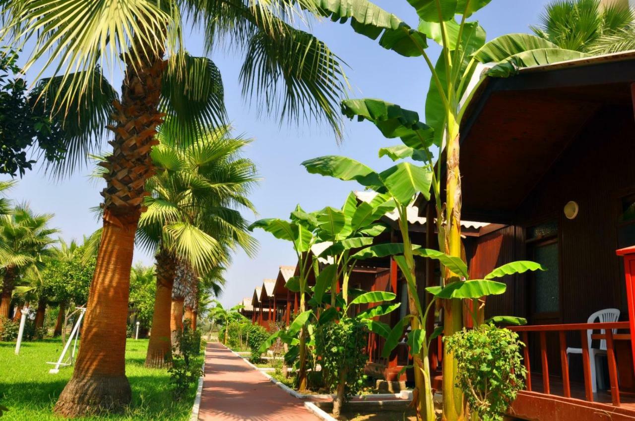 Dream Park Bungalow Titreyengol Εξωτερικό φωτογραφία
