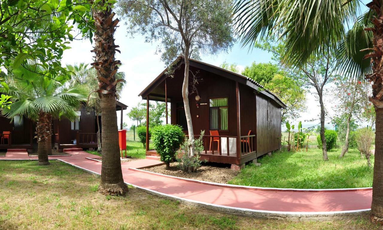 Dream Park Bungalow Titreyengol Εξωτερικό φωτογραφία