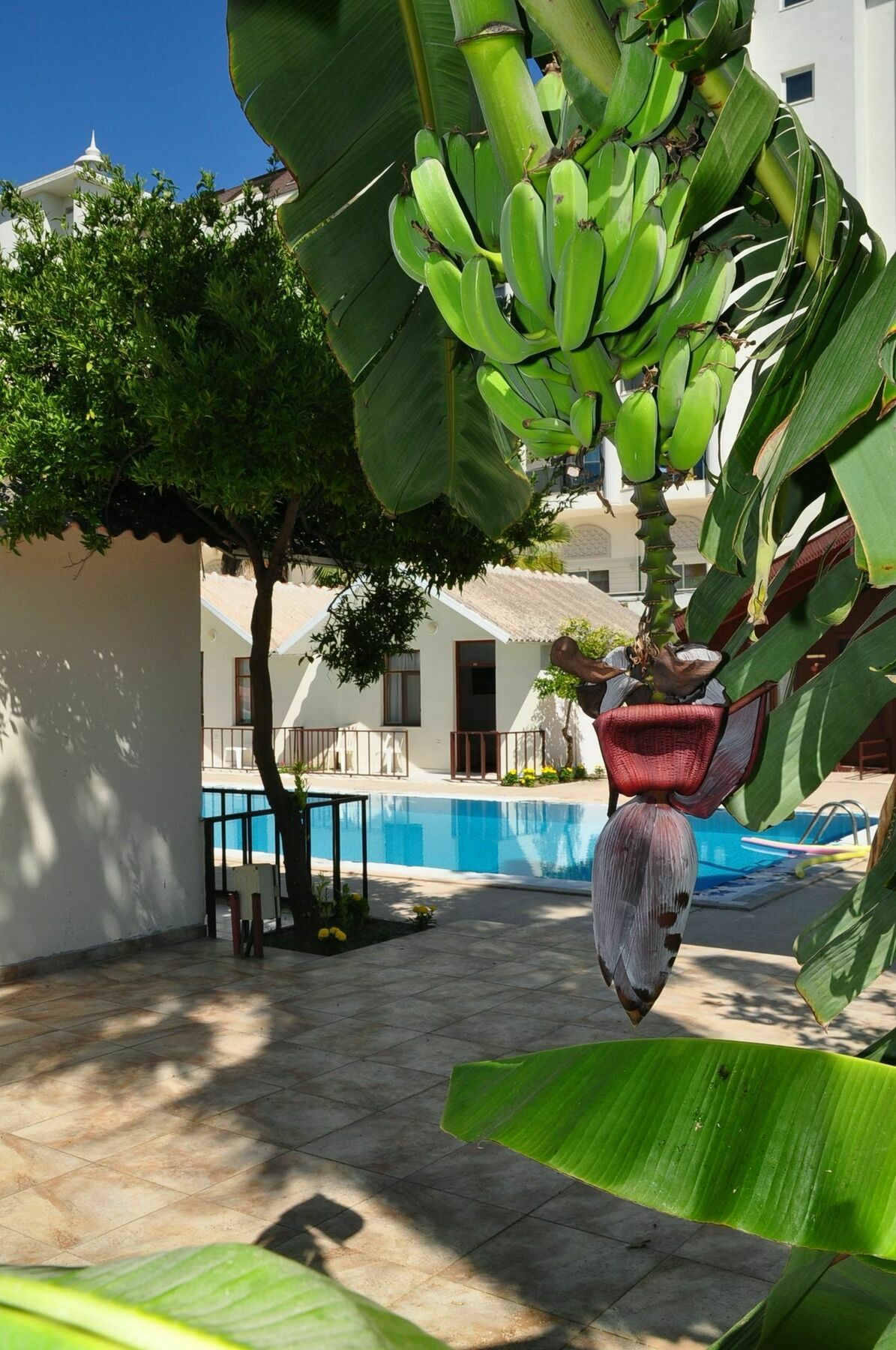 Dream Park Bungalow Titreyengol Εξωτερικό φωτογραφία